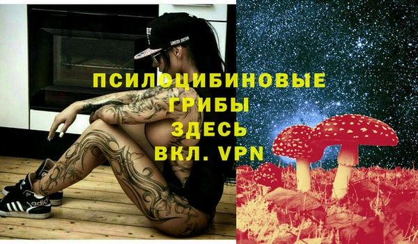 хмурый Алексеевка