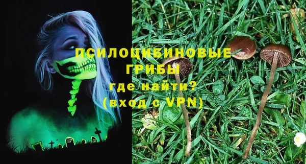 метадон Алексин