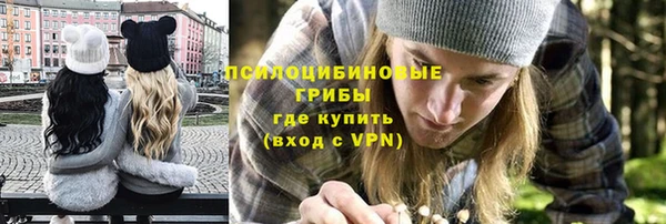 хмурый Алексеевка