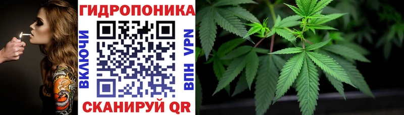 Каннабис VHQ Кувшиново